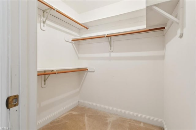 walk in closet featuring light colored carpet