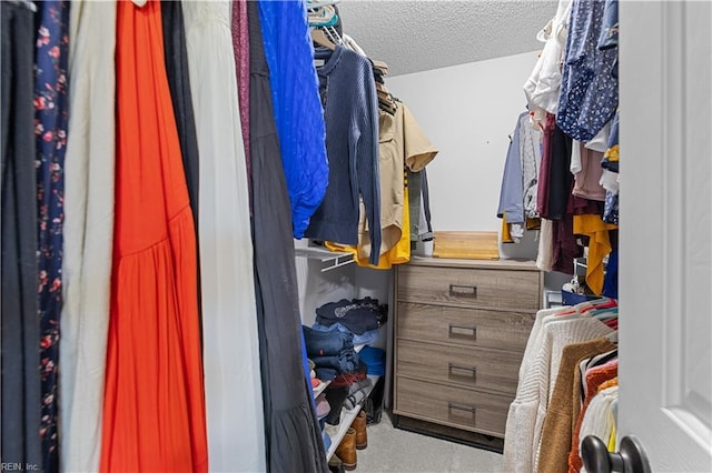 walk in closet with light carpet