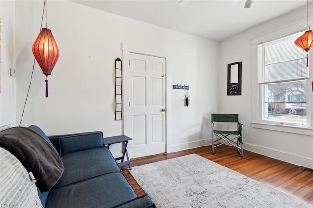 living room featuring plenty of natural light and wood-type flooring