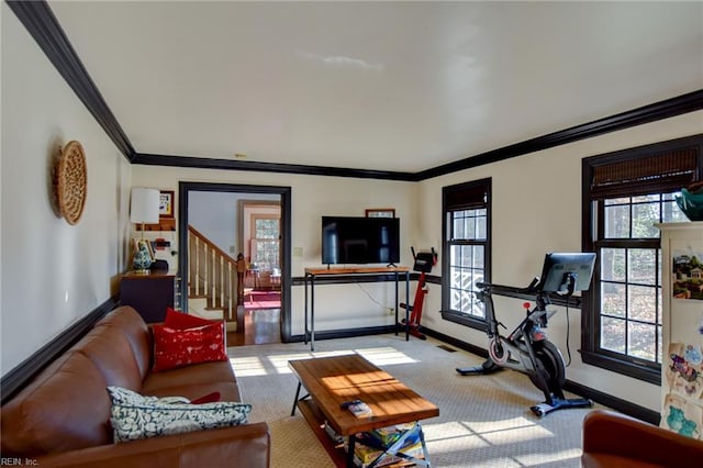 exercise room featuring light colored carpet and ornamental molding