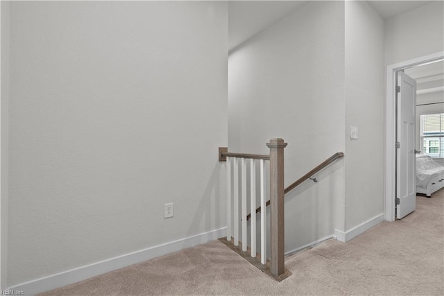 stairway featuring carpet floors