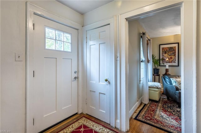 foyer entrance featuring wood-type flooring