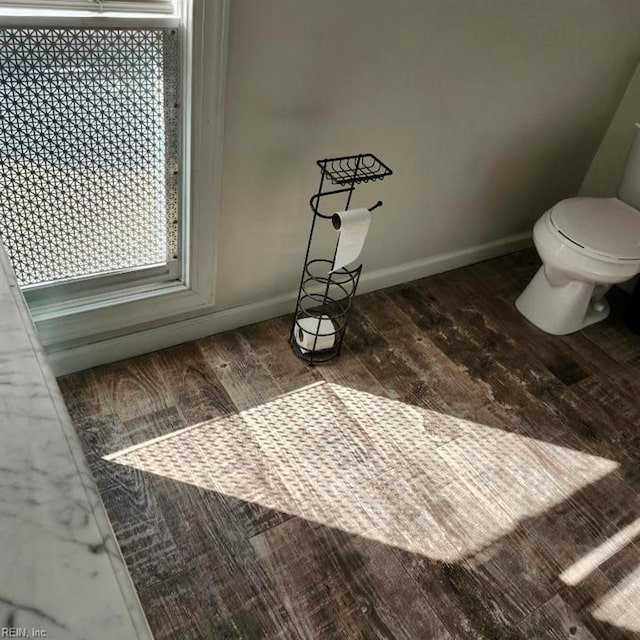 bathroom with hardwood / wood-style floors and toilet