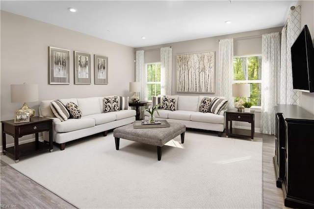 living room with light wood-type flooring and plenty of natural light