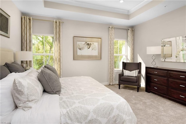 bedroom featuring a tray ceiling and light colored carpet