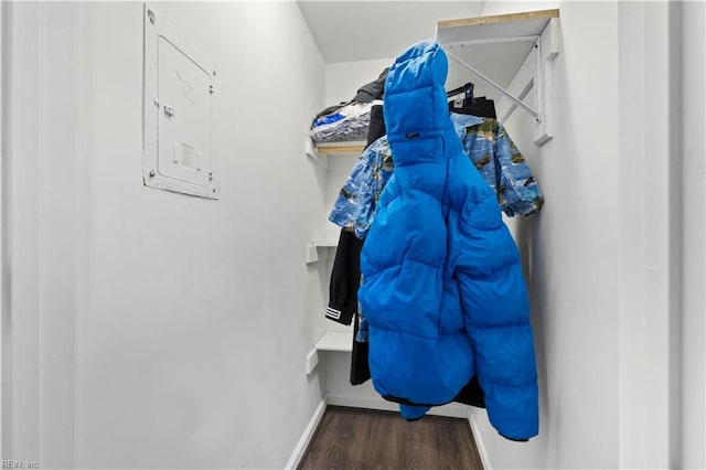 spacious closet featuring electric panel and dark hardwood / wood-style flooring