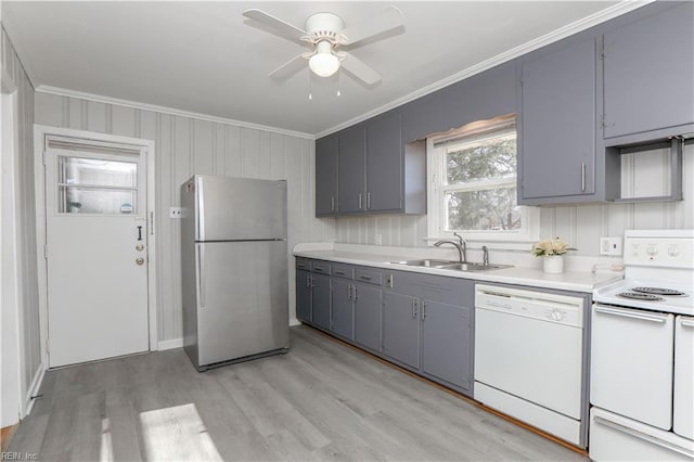 kitchen featuring gray cabinetry, ceiling fan, sink, white appliances, and ornamental molding