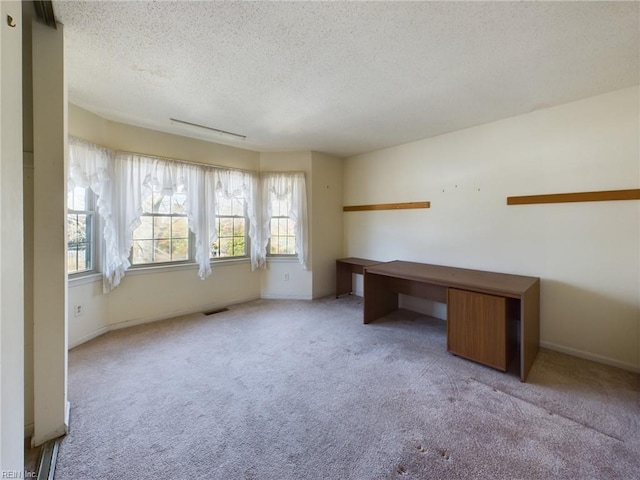 unfurnished office with light colored carpet and a textured ceiling