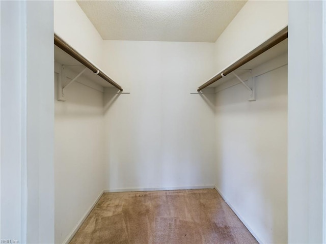 walk in closet with carpet floors