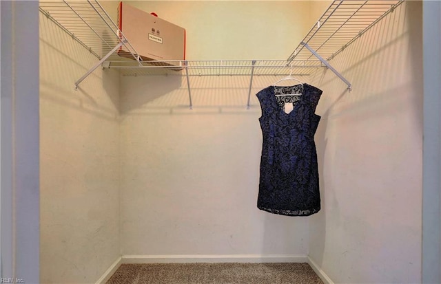 spacious closet featuring carpet floors