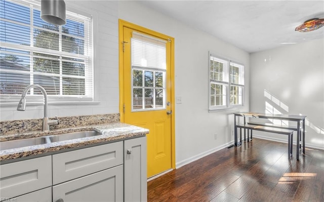 entryway with dark hardwood / wood-style floors, sink, and a wealth of natural light