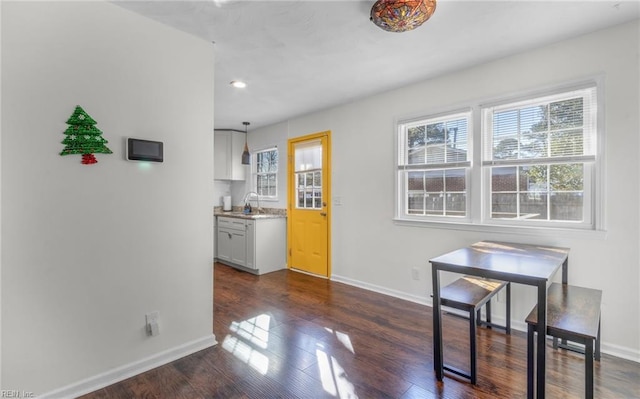 dining area with sink and dark wood-type flooring