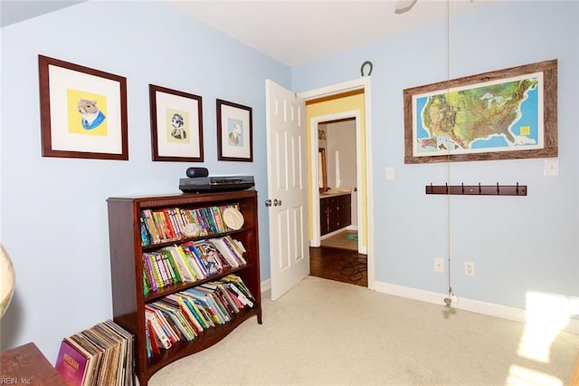 living area featuring carpet flooring