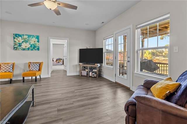 living room with ceiling fan and hardwood / wood-style floors