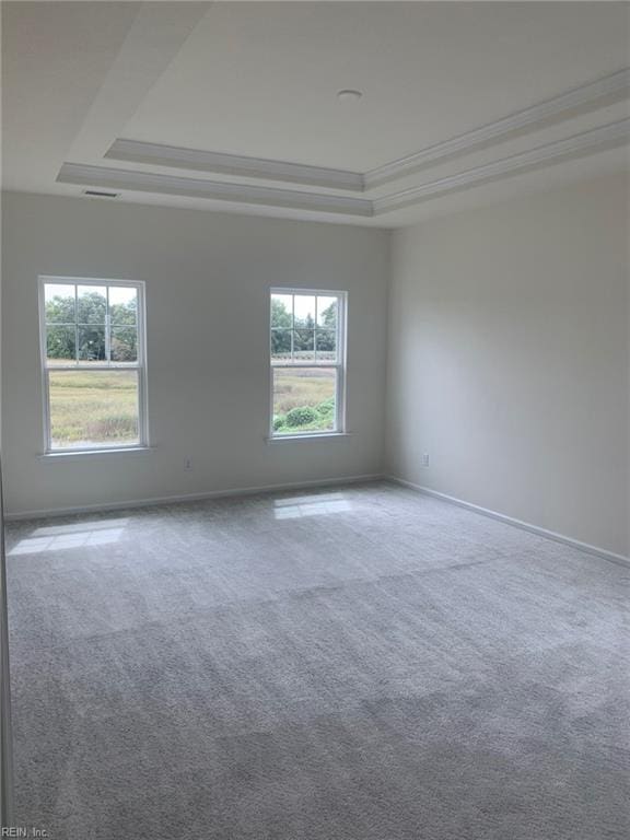 carpeted spare room featuring a wealth of natural light and a tray ceiling