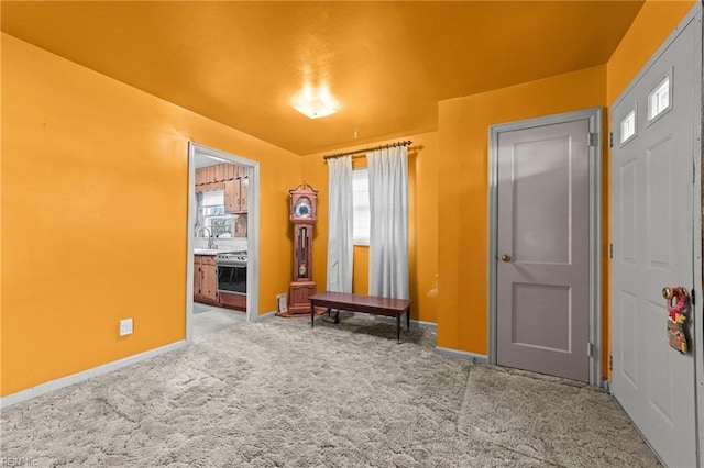 interior space featuring light carpet and sink