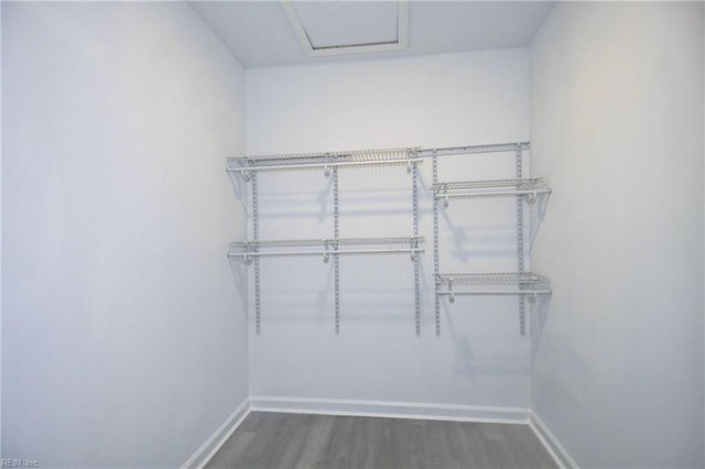 spacious closet with dark wood-type flooring