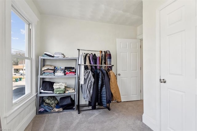 interior space with light colored carpet