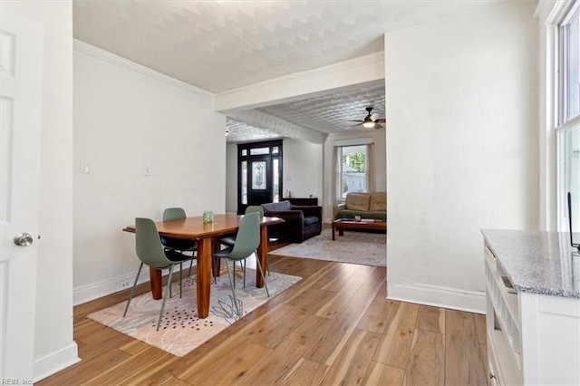 dining space with ceiling fan and light hardwood / wood-style floors