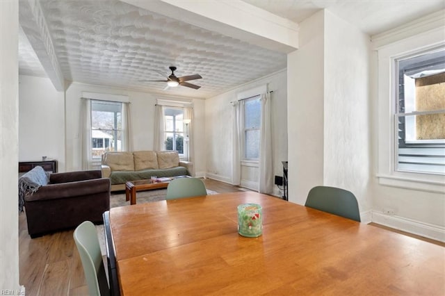 dining room with ceiling fan, crown molding, and light hardwood / wood-style flooring