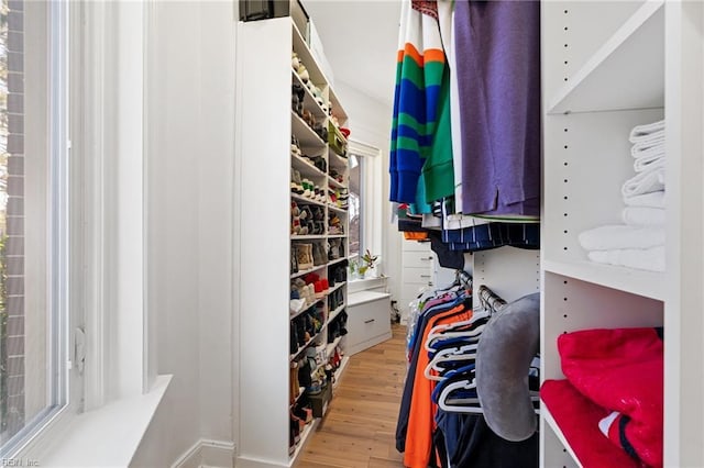 walk in closet with wood-type flooring