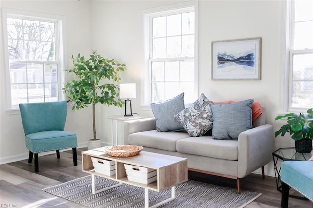 sitting room with hardwood / wood-style flooring and plenty of natural light