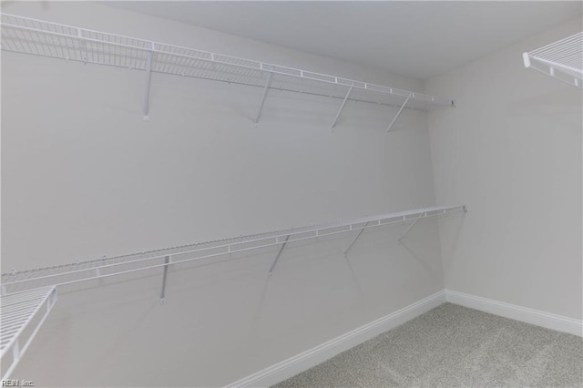 spacious closet featuring carpet