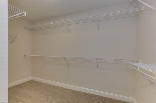 spacious closet featuring carpet floors