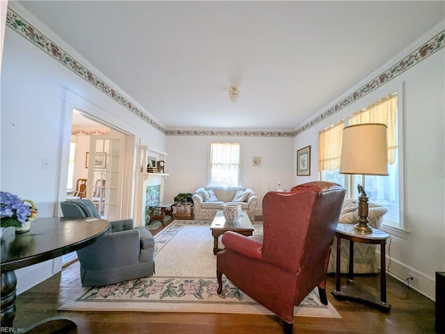 living room featuring wood-type flooring