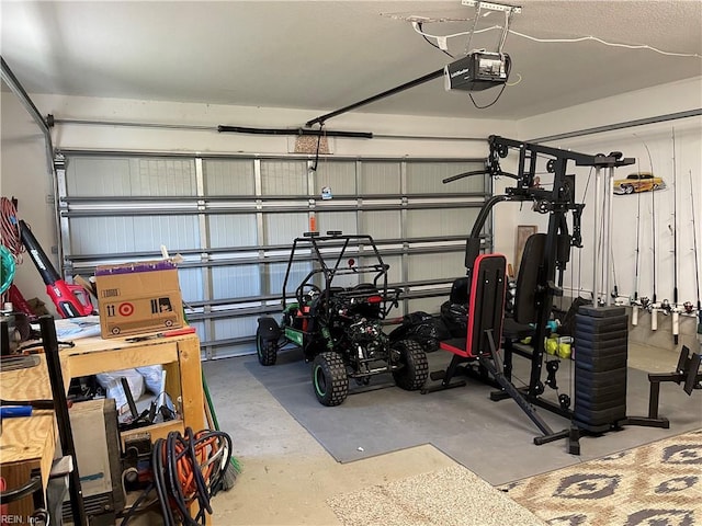 garage with a garage door opener