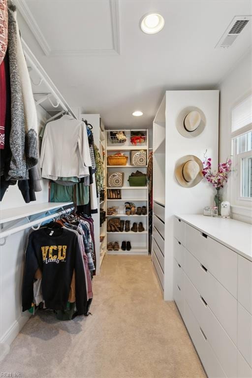 spacious closet with light carpet