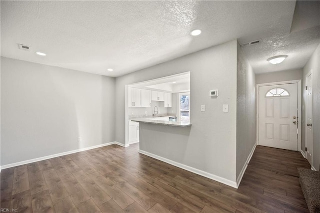 foyer featuring a textured ceiling, dark hardwood / wood-style floors, and sink