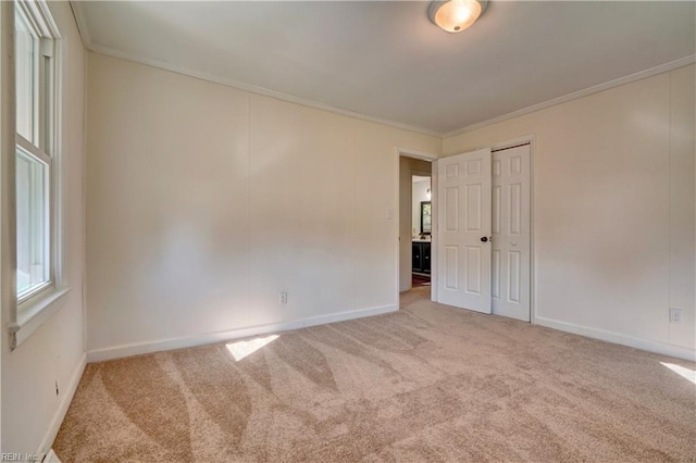 carpeted spare room featuring crown molding