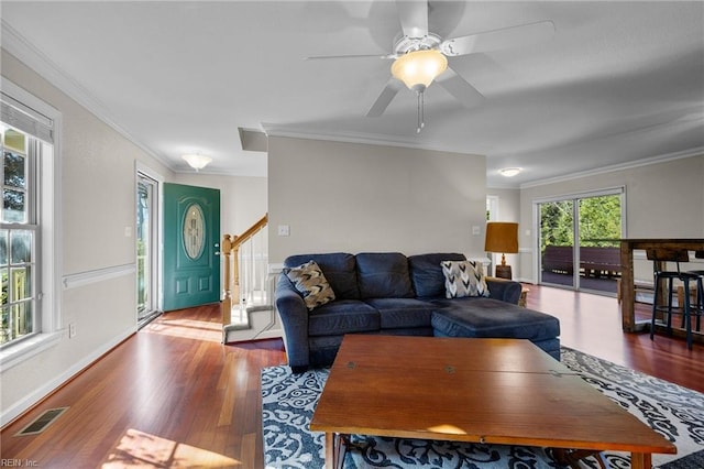 living room with hardwood / wood-style floors, ceiling fan, and crown molding