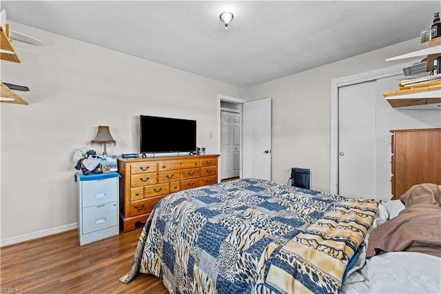 bedroom featuring a closet and hardwood / wood-style floors