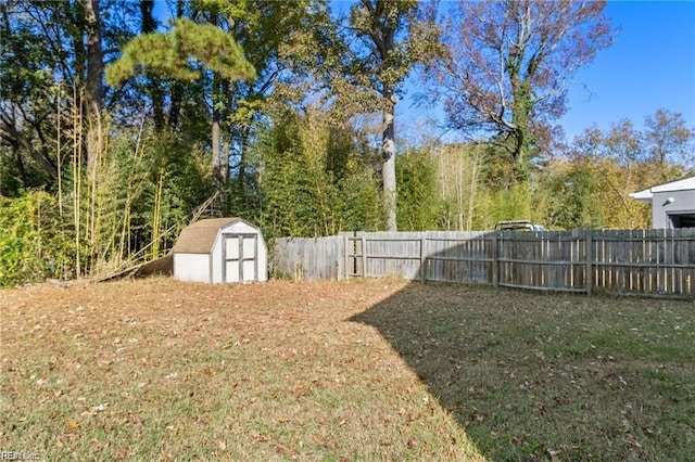 view of yard with a shed