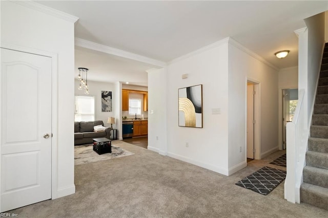 carpeted living room featuring sink and crown molding