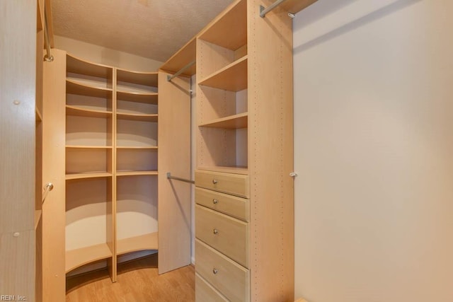 spacious closet with light hardwood / wood-style floors