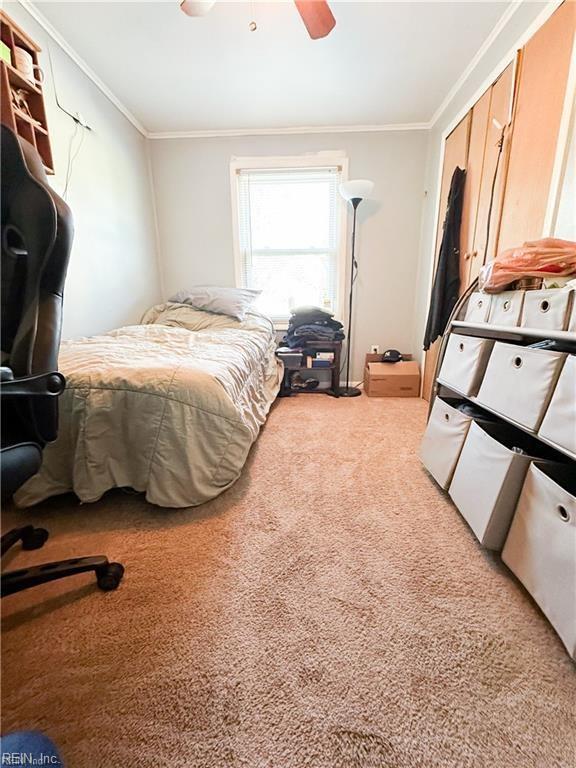 carpeted bedroom featuring ceiling fan, ornamental molding, and a closet