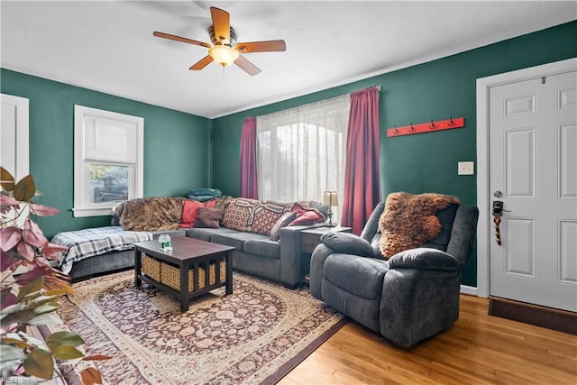 living room with ceiling fan and light wood-type flooring