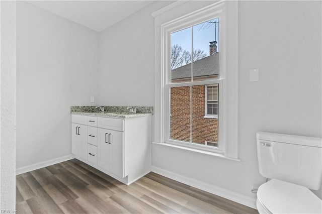 bathroom with vanity, wood-type flooring, and toilet