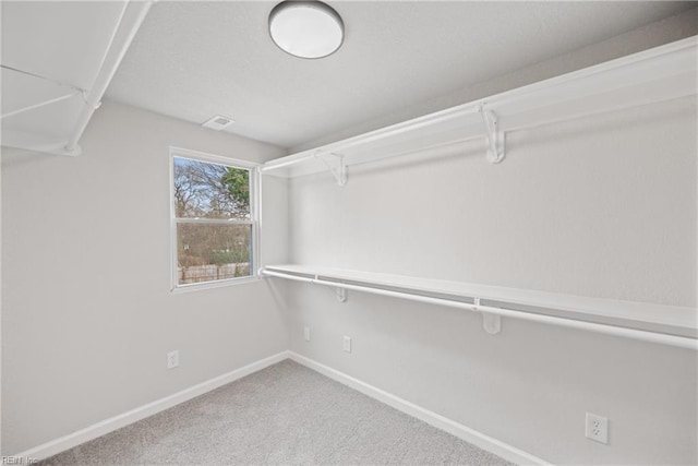 walk in closet with carpet