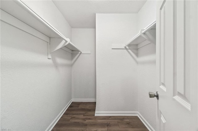 spacious closet featuring dark wood-type flooring