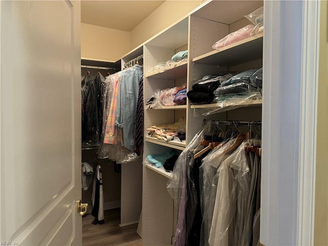 spacious closet featuring hardwood / wood-style flooring