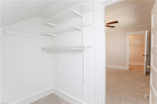 walk in closet with ceiling fan and light carpet