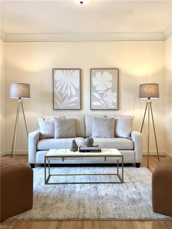 living room featuring hardwood / wood-style floors and ornamental molding