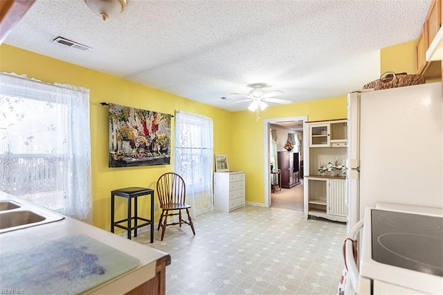 kitchen featuring ceiling fan, stove, a healthy amount of sunlight, and a textured ceiling