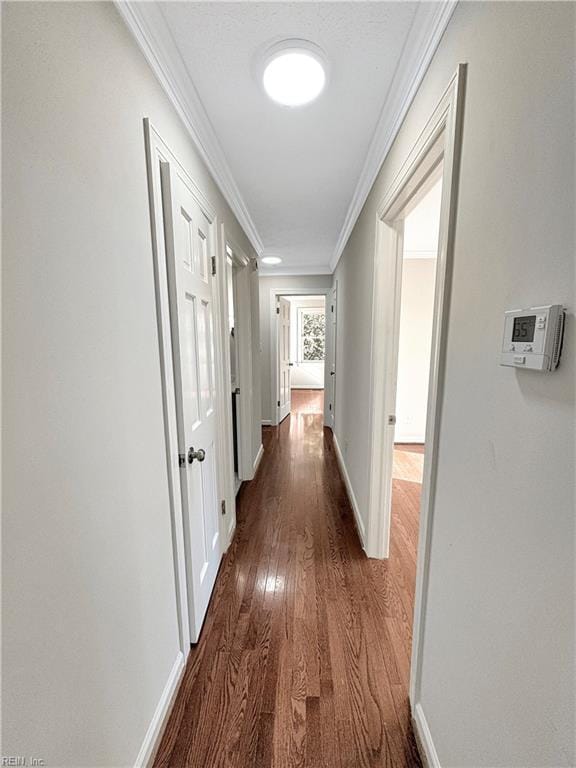 hallway with dark hardwood / wood-style flooring and ornamental molding