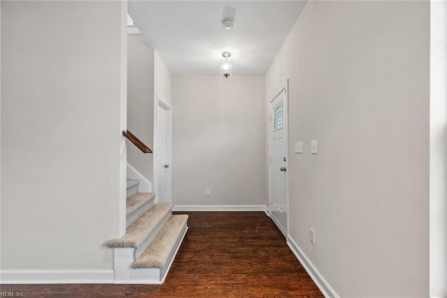 entrance foyer with dark wood-type flooring