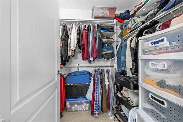 walk in closet featuring carpet flooring